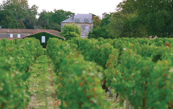 Bordeaux không chỉ hấp dẫn bởi rượu vang