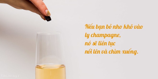 hiện tượng lạ khi bỏ nho khô vào champagne