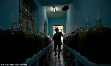 Kỳ lạ người dân Cuba dùng bao cao su để ngâm rượu trái cây
