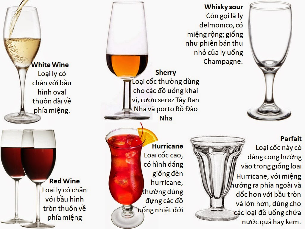 Các Loại Ly Rượu & Cocktail