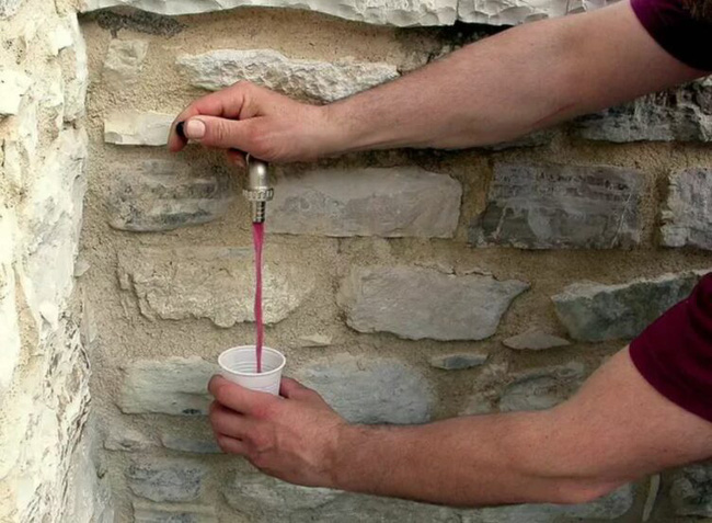 Vòi nước ở ngôi làng Ý tự dưng chảy ra rượu vang